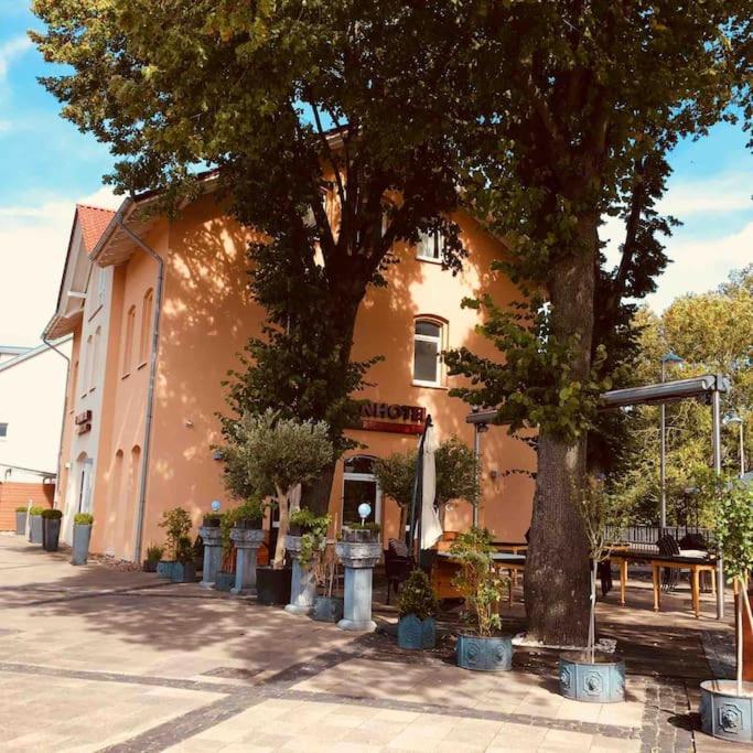 Suesse Souterrain-Wohnung Mit Anbindung Nach Muenster Altenberge  Luaran gambar